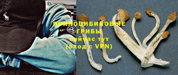 mdpv Балахна