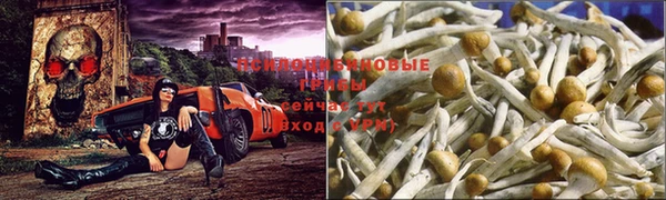 хмурый Баксан