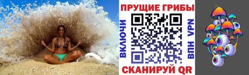 Купить где  Давлеканово  Галлюциногенные грибы MAGIC MUSHROOMS 